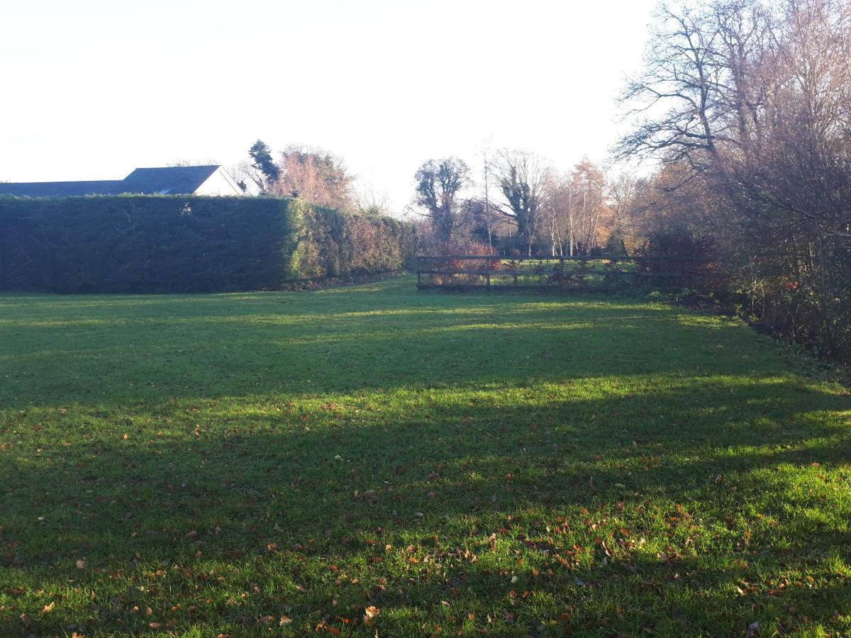 ראת'דרום Birchdale House B&B מראה חיצוני תמונה